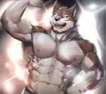  abs absurd_res anthro barazoku biceps canid canine facial_hair fur hi_res male mammal muscular muscular_anthro muscular_male neumokun nipples pecs solo 