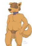  absurd_res anthro balls canid canine canis chubby_male collar deli_(delirost) domestic_dog fur genitals hi_res male mammal mr_fuwa nude penis pose scruffy simple_background solo yellow_body yellow_fur 