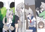  anthro before_and_after blush bodily_fluids breasts canid canine canis clothing colored detailed_background embarrassed female fur genital_fluids grey_body grey_fur grey_hair hair hand_on_breast hi_res human human_to_anthro japanese_text koorinezumi mammal nude paws peeing school_uniform solo species_transformation tears text toilet transformation translated uniform urine urine_stream wolf young 