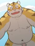  2015 anthro belly blush bodily_fluids felid fur genitals humanoid_genitalia humanoid_penis kemono kick_(artist) male male_focus mammal moobs navel nipples outside overweight overweight_male pantherine penis pink_nose solo sweat tiger white_body white_fur yellow_body yellow_fur 