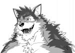  anthro barrel_(live-a-hero) canid canine canis lifewonders live-a-hero male mammal monochrome muscular muscular_anthro muscular_male natsunouro naughty_face pecs smile solo video_games wolf 