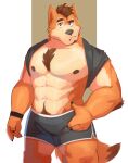  2021 abs anthro canid canine cilok clothed clothing digital_media_(artwork) fur hair hi_res male mammal muscular muscular_anthro muscular_male nipples pecs simple_background solo 