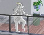  against_surface anthro asriel_dreemurr ass_against_glass balls boss_monster bovid butt caprine genitals goat looking_back male mammal nude on_glass pawpads penis plant plant_pot presenting presenting_hindquarters public public_nudity silvrsterlng solo trash_can undertale undertale_(series) video_games 