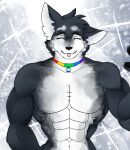  abs anthro cassielink chest_fur digital_drawing_(artwork) digital_media_(artwork) fluffy happy hi_res lgbt_pride male mammal muscular pride_color_accessory pride_color_collar pride_colors rainbow_flag rainbow_pride_flag rainbow_symbol shirtless smile solo tongue vincian_pride_colors 