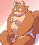  2016 anthro ayame42612 belly brown_body brown_fur canid canine clothing cute_fangs fur incubus! ink_incuberia jockstrap kemono male mammal overweight overweight_male simple_background sitting solo underwear 