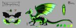  absurd_res anus digital_media_(artwork) dracokaito dracokaitonsfw dragon erection fan_character feral flatcolors genitals hi_res male medieval model_sheet penis profil scalie sketch solo western_dragon wolfdick 