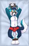  anthro arms_tied balls_outline biped blep blue_body blue_ears blue_fur blue_hair blush bound boxer_briefs briefs bulge canid canine clothed clothing cute_fangs detailed_bulge eyebrow_through_hair eyebrows fur gaokun genital_outline hair hand_behind_head hi_res inner_ear_fluff legs_tied looking_at_viewer male mammal multicolored_body multicolored_fur multicolored_hair partially_clothed red_clothing red_underwear sheath_outline simple_background solo tongue tongue_out translucent translucent_hair tuft two_tone_hair underwear watermark white_body white_fur white_hair white_inner_ear yellow_eyes 