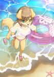  absurd_res anthro asterozoan beach bikini biped brown_body brown_fur brown_hair canid canine canis clothing domestic_dog echinoderm female fur green_eyes hair hi_res high-angle_view holding_object kemono konazarame mammal marine navel panties pink_bikini pink_clothing pink_swimwear sand seaside shirt side-tie_panties slipper starfish swim_ring swimwear tied_shirt topwear translucent translucent_clothing underwear water wet wet_clothing wet_shirt wet_topwear 