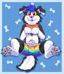  2021 anthro biped black_body black_ears black_fur blep blue_background blue_hair bone border bottomwear boxers_(clothing) canid canine canis cheek_tuft clothed clothing collie cute_fangs domestic_dog eyebrow_through_hair eyebrows facial_tuft feet floppy_ears foot_focus fur gaokun hair herding_dog hi_res inner_ear_fluff kerchief lgbt_pride male mammal markings multicolored_body multicolored_clothing multicolored_ears multicolored_fur multicolored_kerchief multicolored_underwear partially_clothed pastoral_dog pawpads presenting_bulge pride_color_accessory pride_color_bandanna pride_color_bottomwear pride_color_clothing pride_color_kerchief pride_color_neckerchief pride_colors rainbow_clothing rainbow_flag rainbow_kerchief rainbow_pride_flag rainbow_symbol rainbow_underwear red_eyes sheepdog simple_background six-stripe_rainbow_pride_colors solo spots spotted_markings spotted_pawpads tongue tongue_out translucent translucent_hair tuft two_tone_body two_tone_ears two_tone_fur underwear white_body white_border white_ears white_fur white_inner_ear yellow_sclera 