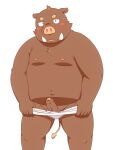  2015 anthro belly blush clothing erection genitals humanoid_genitalia humanoid_hands humanoid_penis kemono male mammal moobs nipples overweight overweight_male penis penta002 solo suid suina sus_(pig) underwear wild_boar 