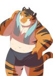  anthro ayame42612 bodily_fluids bulge clothing felid humanoid_hands kemono male mammal navel overweight overweight_male pantherine simple_background solo sweat tiger towel towel_around_neck underwear white_background 