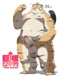  2016 anthro balls belly big_dick_day blush erection felid genitals hi_res humanoid_genitalia humanoid_hands humanoid_penis japanese_text kemono kisukemk777 male mammal overweight overweight_male pantherine penis simple_background solo text tiger white_background 
