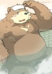  2015 anthro balls barely_visible_balls barely_visible_genitalia barely_visible_penis bathing belly black_nose blush brown_body brown_fur fur genitals humanoid_hands kemono kisukemk777 male mammal moobs nipples overweight overweight_male penis pubes sitting solo towel ursid water 