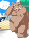  2014 angry anthro balls belly blush brown_body brown_fur fur genitals humanoid_hands japanese_text kemono kisukemk777 male mammal moobs nipples outside overweight overweight_male solo suid suina sus_(pig) text wild_boar 