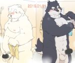  2016 anthro balls bathroom belly blush canid canine canis censored detailed_background domestic_dog duo erection genitals humanoid_genitalia humanoid_hands humanoid_penis inside kemono kisukemk777 male male/male mammal moobs nipples overweight overweight_male penis polar_bear towel ursid ursine 