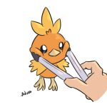  1:1 467adv ambiguous_gender avian beak digital_media_(artwork) disembodied_hand duo feral fur hi_res holding_cheeks human mammal nintendo orange_body orange_fur pok&eacute;mon pok&eacute;mon_(species) simple_background squish tongs tools torchic video_games white_background wings 