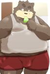  2017 anthro balls_outline black_nose brown_body brown_fur bulge clothing eating fur genital_outline hi_res humanoid_hands kemono kisukemk777 male mammal overweight overweight_male penis_outline shirt solo topwear underwear ursid 