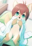  anthro bed blush bottomless breasts canid canine canis clothed clothing domestic_dog female furniture kemono looking_at_viewer mammal multi_nipple nipples nude on_bed oversized_shirt ryu_masakaze shirt solo topwear young 