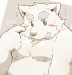  2016 anthro belly blush bodily_fluids canid canine canis cute_fangs domestic_dog fur humanoid_hands kemono kisukemk777 male mammal moobs nipples overweight overweight_male simple_background solo sweat white_body white_fur 