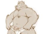  2014 4:3 anthro ast belly bulge clothing erection genitals humanoid_hands kemono male mammal moobs navel overweight overweight_male penis simple_background solo suid suina sus_(pig) underwear white_background wild_boar 