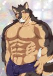  abs absurd_res anthro biceps blush bodily_fluids bulge clothing fu_ren_chi hi_res lifewonders live-a-hero looking_at_viewer male muscular muscular_anthro muscular_male nipples pecs pubraseer solo sweat underwear video_games 
