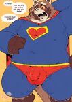  2021 anthro apple_(zestibone) balls_outline belly black_nose blush brown_body brown_fur bulge english_text fur genital_outline hi_res male mammal overweight overweight_male penis_outline procyonid raccoon simple_background solo superhero_costume text zestibone 