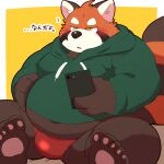  1:1 2021 96tning ailurid anthro belly black_nose blush brown_body bulge cellphone clothing hoodie japanese_text kemono male mammal navel orange_body overweight overweight_male phone red_panda simple_background sitting smartphone solo text topwear translated underwear 