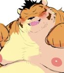  2021 anthro belly black_nose blush eyes_closed felid kemono male mammal moobs nipples obese obese_male overweight overweight_male pantherine paws sessa simple_background solo tiger white_background 