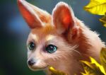  absurd_res ambiguous_gender black_nose blue_eyes canid canine detailed fennec feral flutti fox fur hi_res leaf light lighting mammal shaded solo whiskers white_body white_fur 