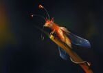  2021 absurd_res ambiguous_gender antennae_(anatomy) arthropod digital_media_(artwork) feral fluffy flutti fur hi_res insect insect_wings multi_leg multi_limb orange_body orange_fur simple_background solo wings 