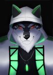  anthro black_and_white_fur bust_portrait canid canine canis clothing domestic_dog glare green_eyes hi_res hoodie husky inugami1837 jewelry lifewonders live-a-hero male mammal monomasa necklace nordic_sled_dog portrait red_sclera solo spitz topwear video_games 