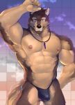  abs anthro biceps biped blurred_background brown_body brown_fur bulge canid canine canis clothed clothing cloud detailed_background digital_media_(artwork) digital_painting_(artwork) domestic_dog front_view fur glistening glistening_clothing glistening_nipples glistening_swimwear jewelry lifewonders live-a-hero looking_at_viewer male mammal muscular muscular_anthro muscular_male necklace nipples pecs portrait pubraseer salz_sop shaded sky solo speedo standing sunset swimwear three-quarter_portrait topless video_games 