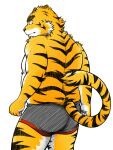  2011 3:4 anthro ast black_nose butt clothing felid fur humanoid_hands kemono male mammal pantherine simple_background slightly_chubby solo tiger underwear white_background white_body white_fur yellow_body yellow_fur 