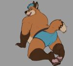 2021 anthro belly blue_hair brown_body bulge butt canid canine clothing eyewear fox glasses hair horrorbuns male mammal overweight overweight_male simple_background solo underwear 