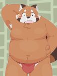  2021 3:4 ailurid anthro armpit_hair asian_clothing belly black_nose blush body_hair brown_body clothing cute_fangs east_asian_clothing fundoshi humanoid_hands japanese_clothing kemono male mammal moobs navel overweight overweight_male red_clothing red_fundoshi red_panda red_underwear shibuya_2810 solo underwear 