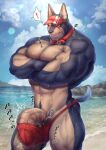  abs absurd_res anthro barely_contained barely_contained_penis beach big_arms big_pecs big_penis bulge canid canine canis clothed clothing collar crossed_arms dobermann domestic_dog genitals hi_res looking_at_viewer male mammal muscular muscular_male navel partially_clothed pecs penis pinscher pubes seaside solo speedo swimwear thick_thighs topless visor yukihoshiak 