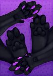  feet felid feline female feral foot_focus hi_res mammal pads_(disambiguation) pantherine paws solo zhekathewolf ztw2021 