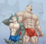  abs anthro armpit_hair barazoku beastars biceps body_hair bottomwear bulge canid canine canis clothed clothing detailed_bulge duo facial_scar genital_outline hi_res jabuhusky legoshi_(beastars) male mammal muscular muscular_male nipples pecs penis_outline riz_(beastars) scar shorts topless ursid wolf 