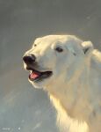  2021 alsares ambiguous_gender black_lips black_nose digital_media_(artwork) feral fur hi_res lips mammal polar_bear solo ursid ursine white_body white_fur 