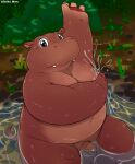  anthro balls bathing belly brown_body chiko_mew common_hippopotamus flaccid foreskin fupa genitals hi_res hippopotamid male mammal moobs navel nude overweight penis solo water wet 