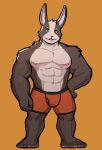  2021 abs anthro big_muscles buckteeth clothing eyebrows fur hand_on_hip jrjresq lagomorph leporid male mammal muscular muscular_anthro muscular_male navel nintendo nipples orange_background pecs peppy_hare rabbit simple_background smile solo standing star_fox teeth tuft underwear video_games 