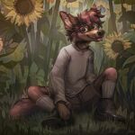  1:1 2021 4_fingers anthro biped blep brown_body brown_fur brown_nose canid canine canis cheek_tuft clothed clothing detailed_background digital_media_(artwork) ear_piercing eyewear facial_tuft fingers flower footwear full-length_portrait fully_clothed fur glasses grass hand_on_foot head_tuft hi_res industrial_piercing jacato looking_at_viewer male mammal neck_tuft outside piercing plant plantigrade portrait shirt shoes signature sitting socks solo spread_legs spreading sunflower tongue tongue_out topwear tuft videah white_clothing white_shirt white_topwear wolf yellow_sclera 