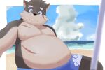  3:2 absurd_res anthro beach belly bottomwear canid canine canis clothing domestic_dog hi_res lifewonders male mammal moritaka navel overweight overweight_male sand scar sea seaside shorts solo suro964708 swimwear tokyo_afterschool_summoners video_games water 