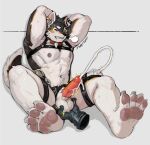  absurd_res anthro arms_tied ball_fondling balls bdsm bodily_fluids bondage bound canid canine canis collar cum cum_in_bottle cum_in_tube cumshot disembodied_hand domestic_dog ejaculation electrostimulation erection fondling genital_fluids genitals hi_res humanoid_genitalia humanoid_penis male mammal muscular muscular_male nipples penetration penis saliva urethral urethral_penetration yzmuya 