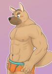  2016 anthro biped black_nose blush brown_body bulge canid canine canis clothing detailed_bulge domestic_dog humanoid_hands kemono kick_(artist) male mammal simple_background solo underwear 