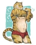 2013 anthro barazoku biped clothing felid humanoid_hands japanese_text kemono male mammal pantherine simple_background slightly_chubby solo t09a60y text tiger underwear 