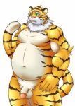  2015 anthro balls belly blush felid flaccid genitals green_eyes humanoid_genitalia humanoid_hands humanoid_penis kemono male mammal moobs navel overweight overweight_male pantherine penis seturou1010 simple_background solo tiger white_background white_body yellow_body 