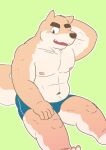  2015 anthro blush brown_body bulge canid canine canis clothing domestic_dog green_background humanoid_hands kemono kick_(artist) male mammal navel nipples simple_background sitting slightly_chubby solo underwear 