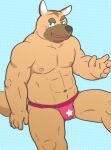  2015 anthro black_nose blue_eyes blush brown_body bulge canid canine canis clothing cute_fangs domestic_dog humanoid_hands kemono kick_(artist) male mammal muscular muscular_male sitting solo underwear 