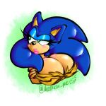  1:1 anthro big_breasts blue_body blue_fur blush breasts crossgender deerpizza_pie eyelashes eyeshadow female fur green_eyes huge_breasts lips lipstick makeup sega solo sonic_the_hedgehog sonic_the_hedgehog_(series) thick_lips 